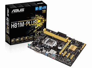 ASUS - ASUS H81M-PLUS